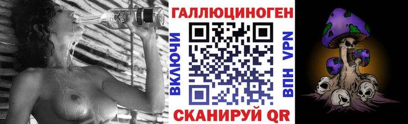 Купить  Кондопога  Галлюциногенные грибы GOLDEN TEACHER 